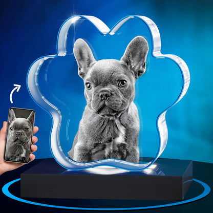 GMB CRYSTAL ENGRAVED DOG PAW