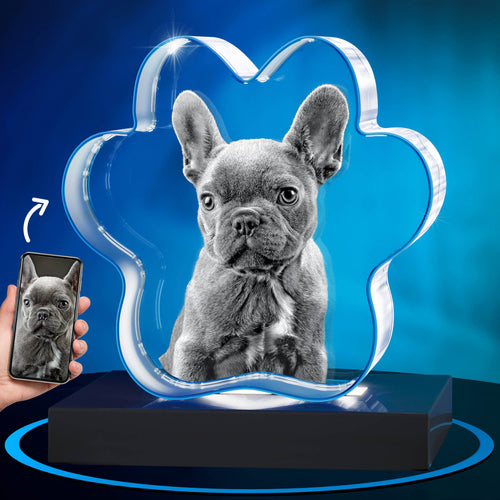 GMB CRYSTAL ENGRAVED DOG PAW