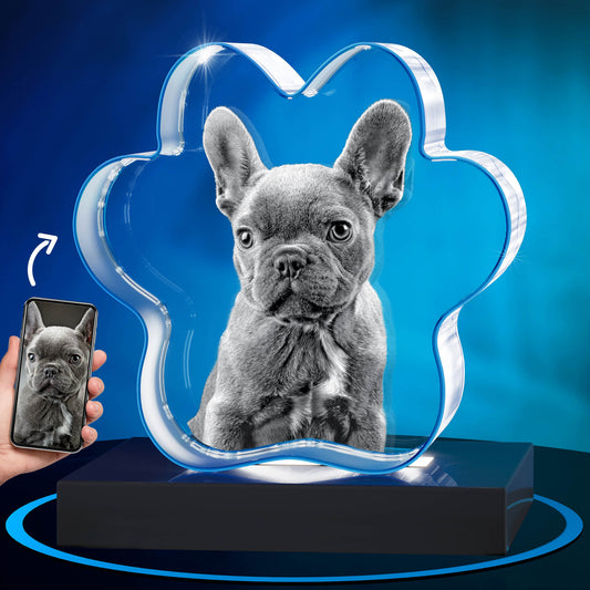 GMB CRYSTAL ENGRAVED DOG PAW