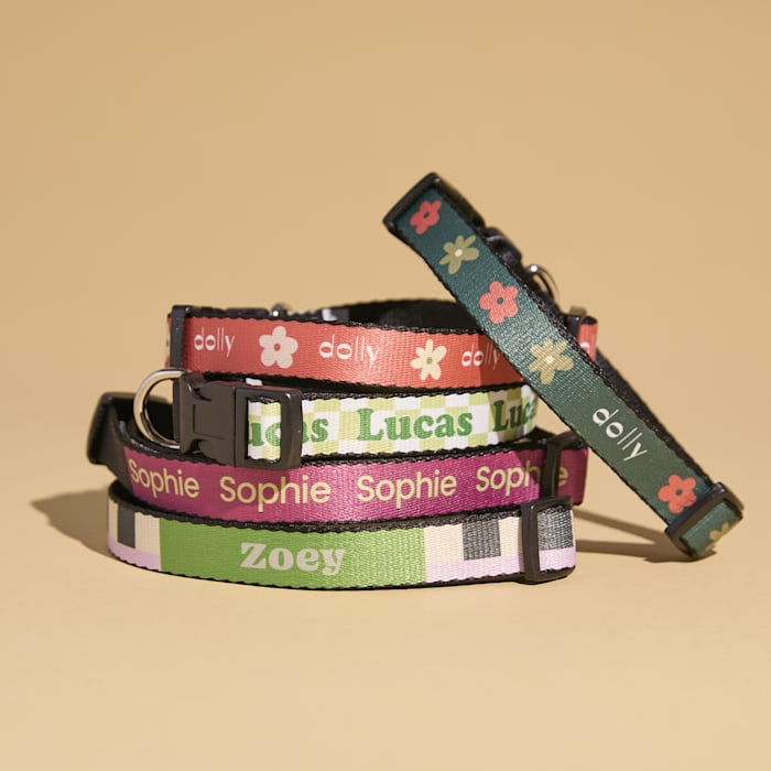 Custom Dog Collars