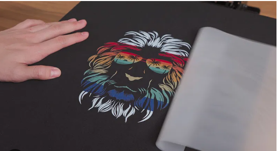 SAMEDAY DTF TRANSFERS - SINGLE IMAGES